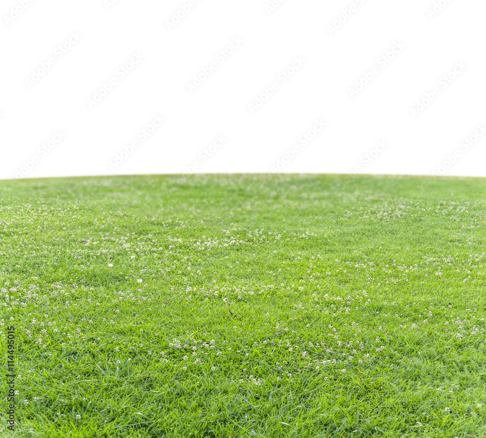 Green trimmed grass field with copy space