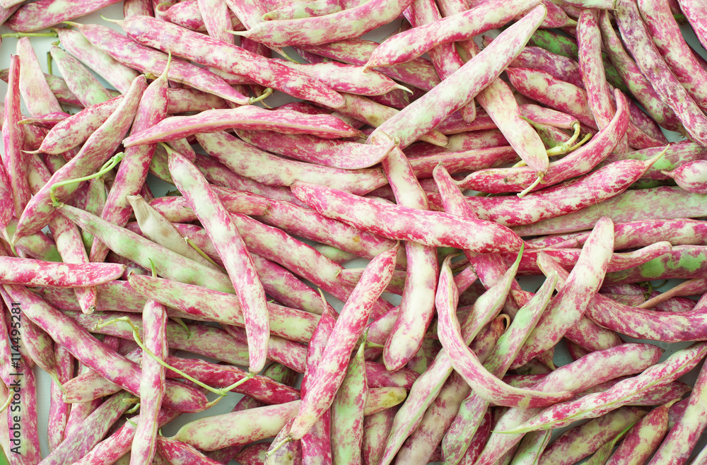 Cranberry bean pods background texture Cranberry bean pods background texture
