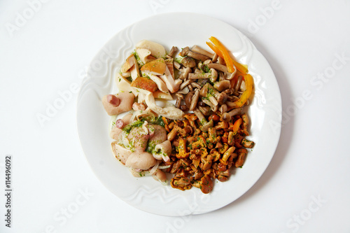 Salad of different kinds of mushrooms, close up isolated on white