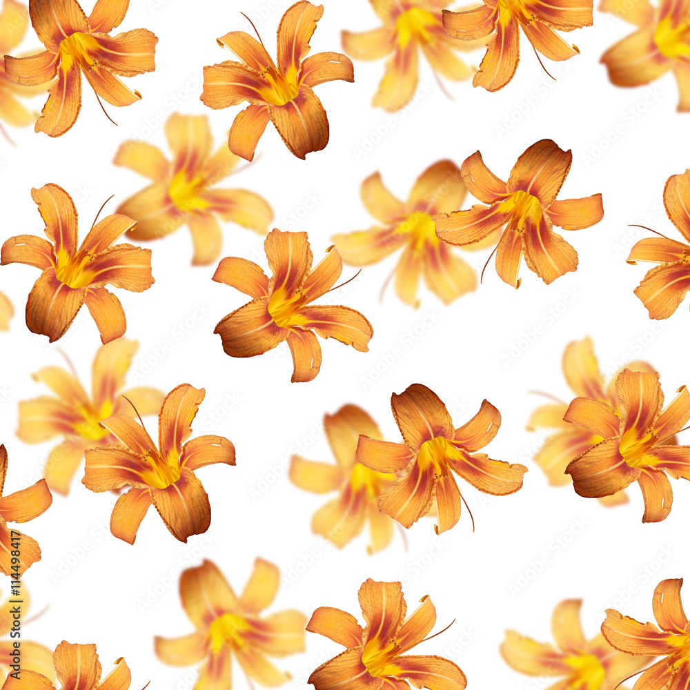 Floral pattern. Orange lily Floral pattern. Orange lily