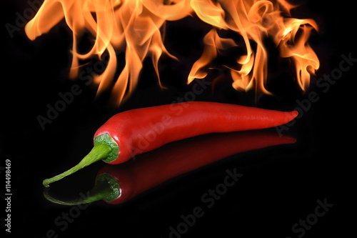 Chili auf schwarz mit Spiegelung und Feuer Flammen