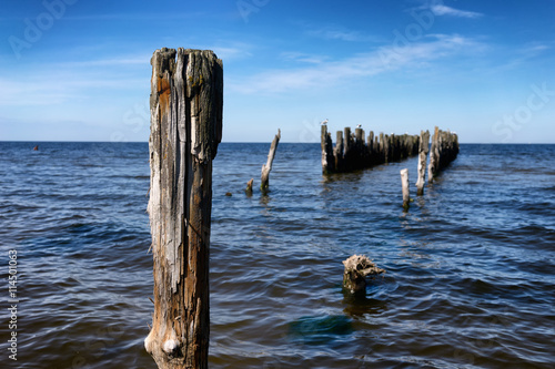 Piles of old wooden pier in the Baltic Sea © victorgrow