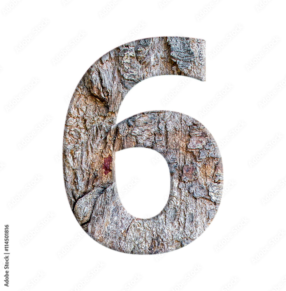 number letter from bark tree isolated on white background number letter from bark tree isolated on white background