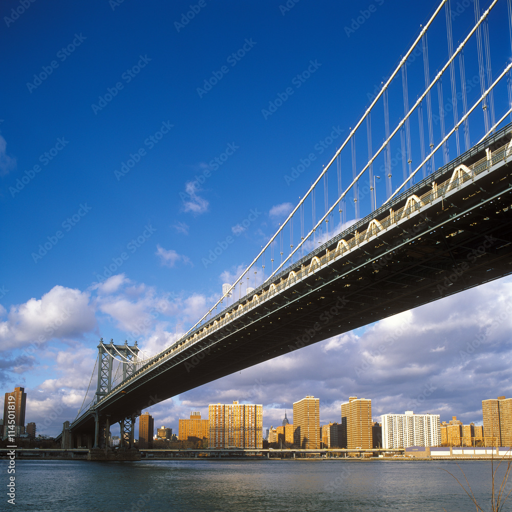 Obraz premium Most Manhattan.