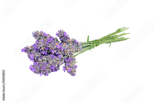 Bouquet of lavender isolated on white