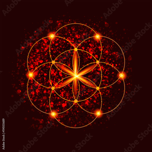 abstract vector background with consecrated symbols of sacred geometry