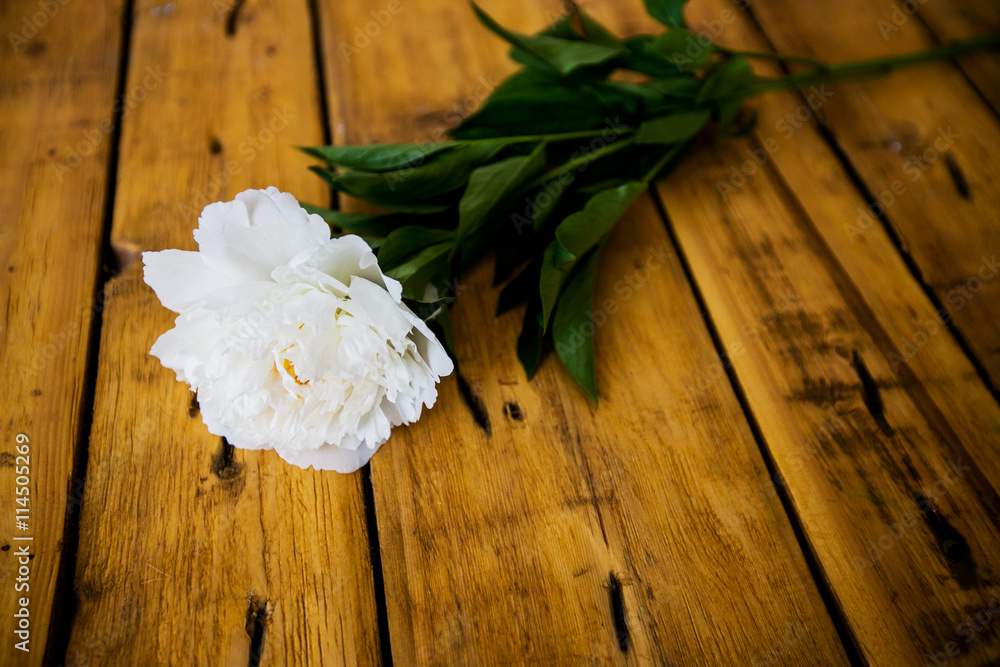 Naklejka premium Large peony flowers on wooden background
