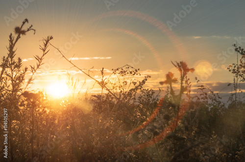 Sunny beautiful sunset © fotolesnik