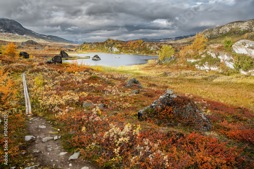 Wildes Lappland - Nordschweden