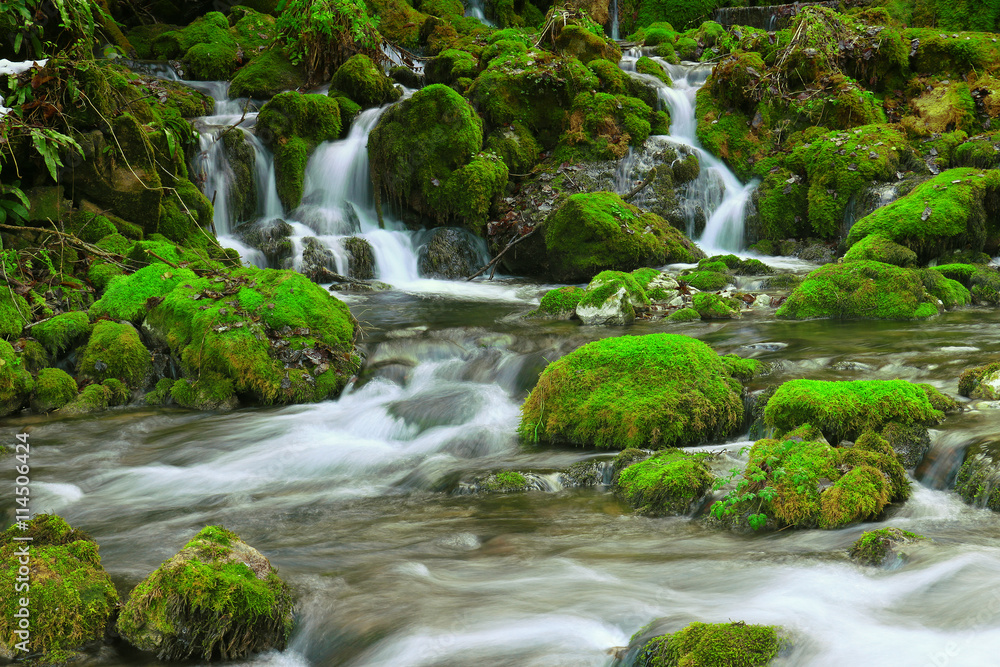 Mountain stream among the mossy stones Mountain stream among the mossy stones