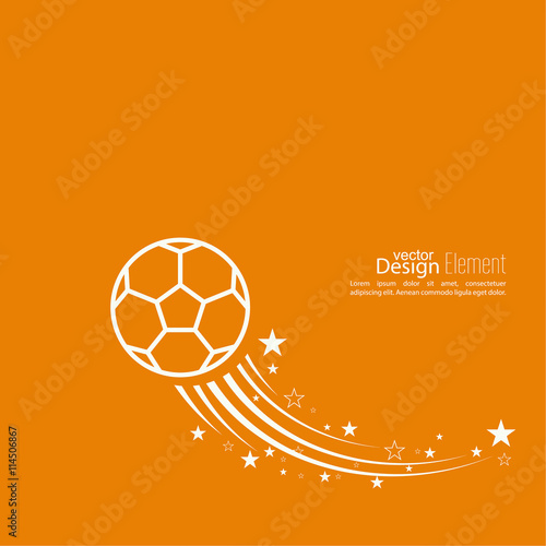 Vector icon  soccer ball.