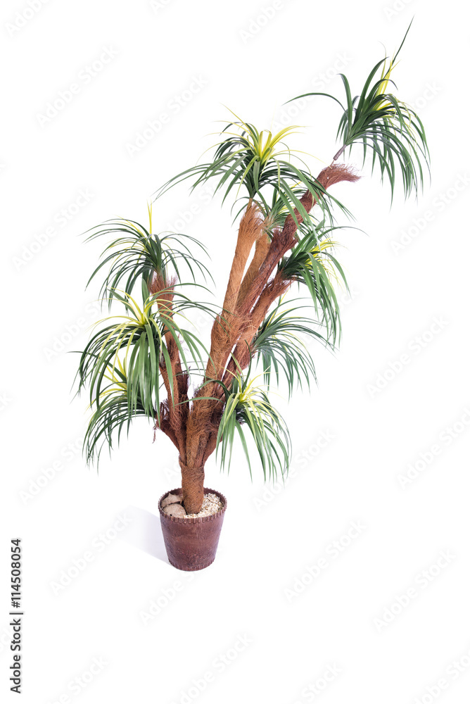 Artificial palm tree isolated on white background