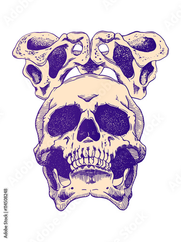 Terrible frightening skull. Creepy illlustration