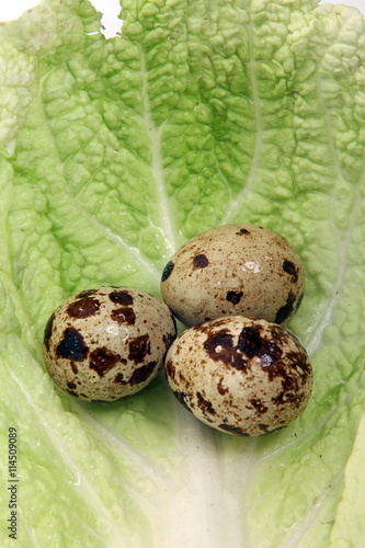 quail eggs