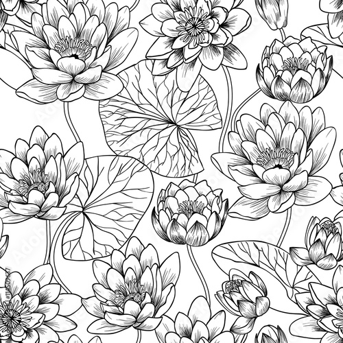 White water lily  vector seamless pattern