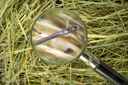 image of needle in the hay close up photo