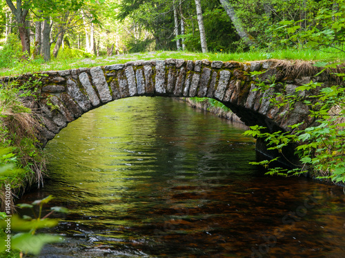 Obraz na płótnie Small rock bridge over forest channel, Vchynice-Tetov Transport Channel, Bohemia