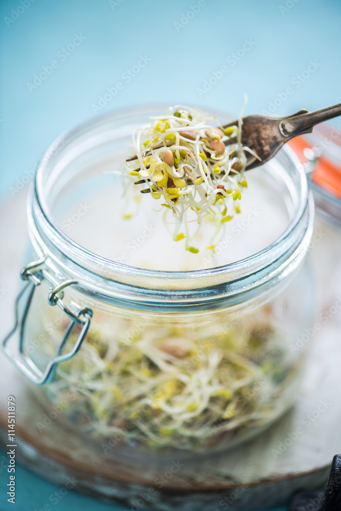 healthy eating fresh sprouts healthy eating fresh sprouts