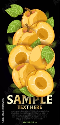Apricot fruit mix with leaves on black background vector illustration. Organic vegetarian product. Healthy food.