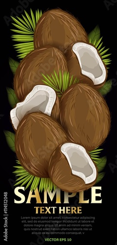 Coconut fruit mix with leaves on black background vector illustration. Organic vegetarian product. Healthy food.