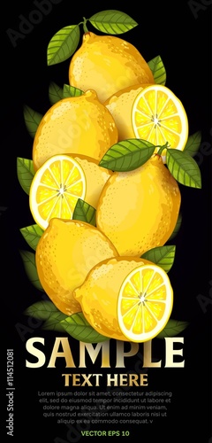 Lemon fruit mix with leaves on black background vector illustration. Organic vegetarian product. Healthy food.