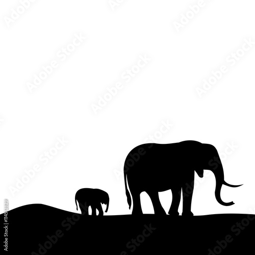 Canvas Print walking elephants