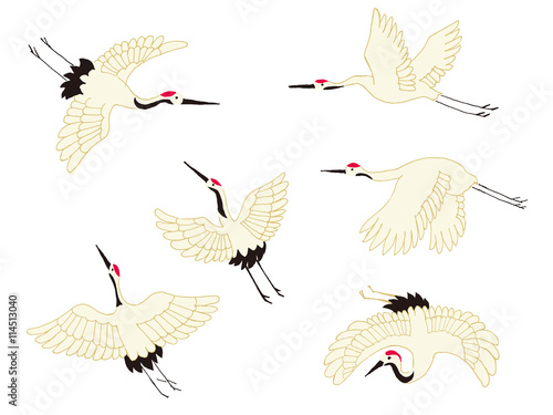  crane
