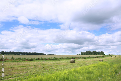 haystacks on the meadow