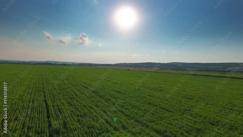 Flying to sun over green field at sunset, 4k
Flying to sun over green field at sunset, 4k