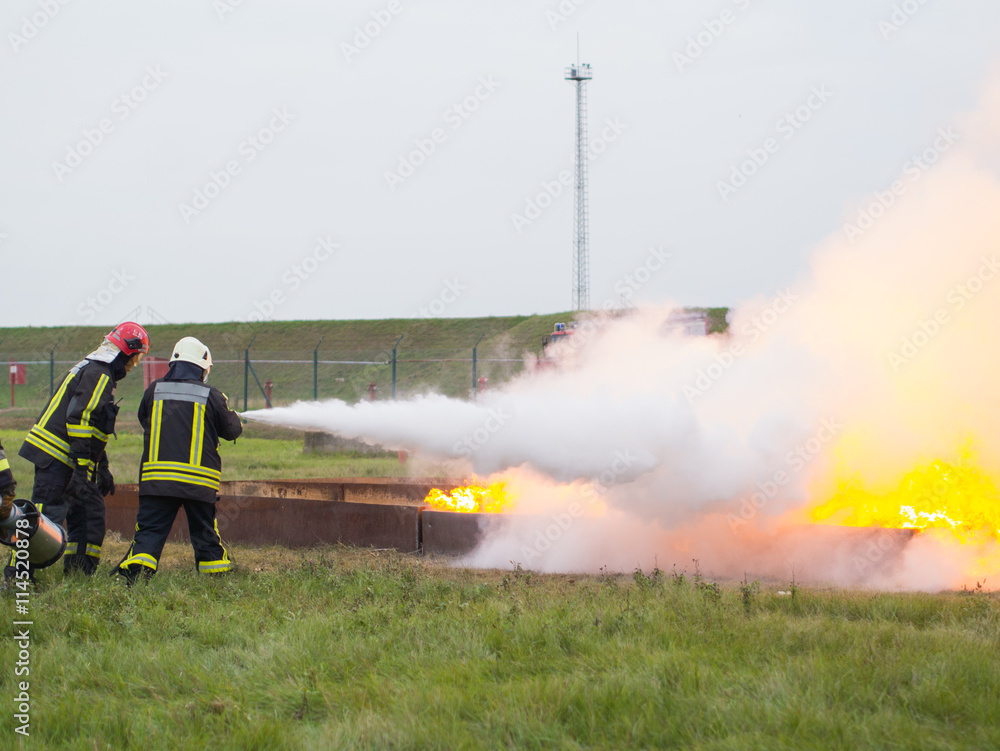 Naklejka premium Fighting fire with a powder extinguisher