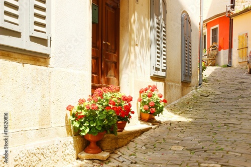 Red flowers on the street in Motovun, Croatia