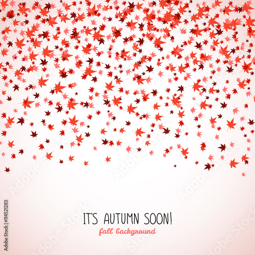 Text frame made from red maple leaves. Copy space.