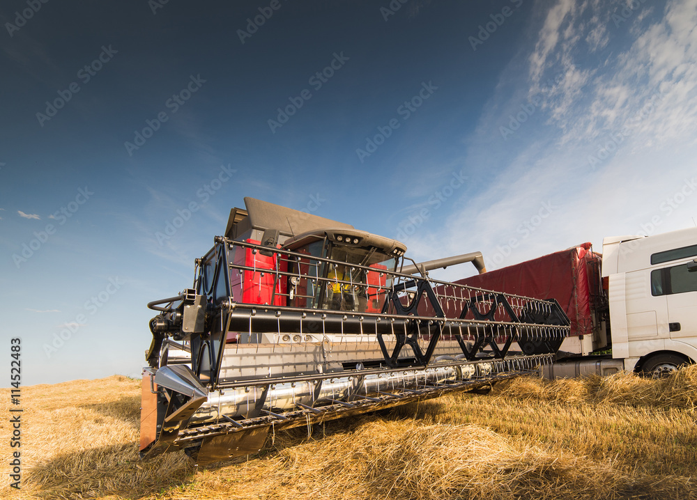 Naklejka premium Harvesting of soy bean field