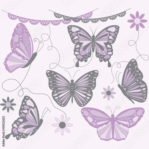 Purple and Grey Butterfly.Butterfly Silhouette,Flower,Lace Border