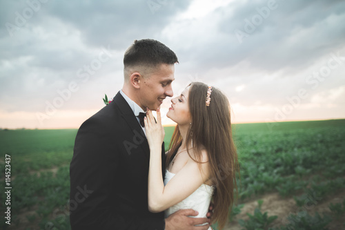 Beautiful wedding couple, love on the sunset. Fielf with flowers photo