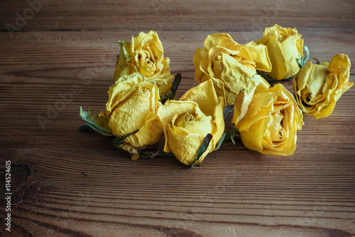 Dry yelloy roses on wood background photo