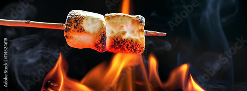 Fotografia, Obraz Roasting Marshmallows Over Campfire Horizontal Banner