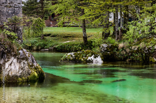 Fototapeta Naklejka Na Ścianę i Meble -  Romantic Sava Bohinjka river in Slovenia
