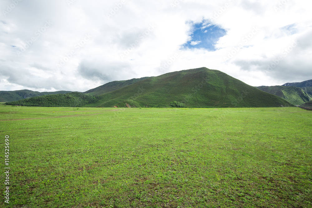 Lawn in countryside