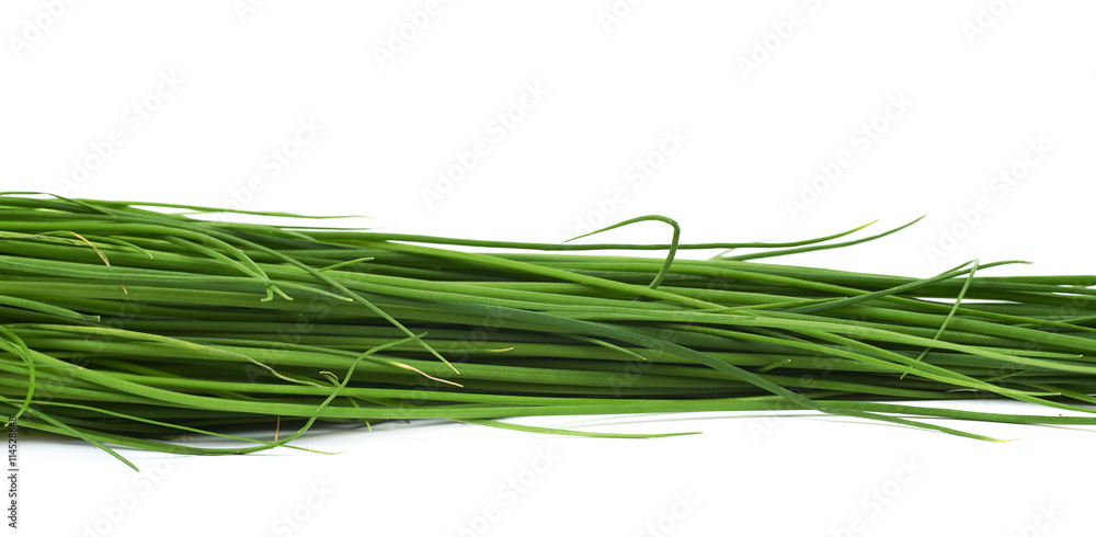 Close-up fragment of scallions isolated Close-up fragment of scallions isolated