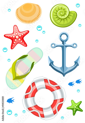 Seaside objects seashells slippers and life buoy