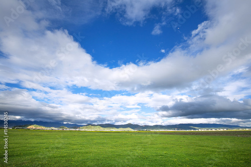 Lawn with sky