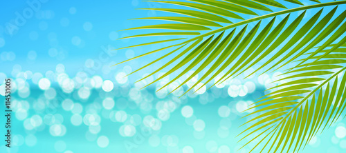 Palm and beach, bokeh - Summer Holiday