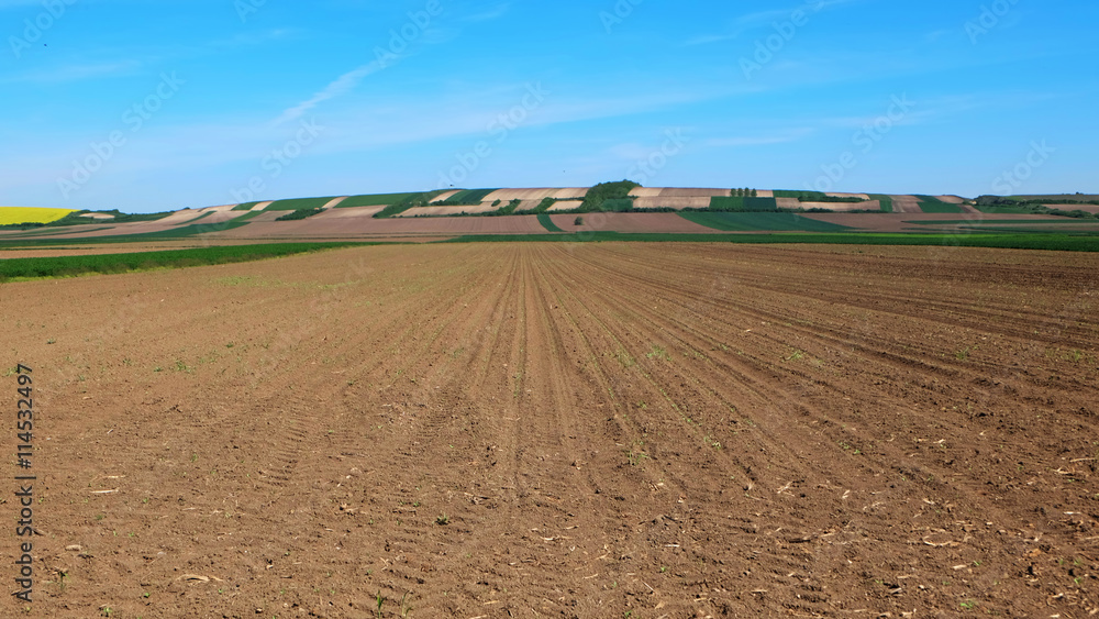 Fototapeta premium Plowed soil with nice blue sky