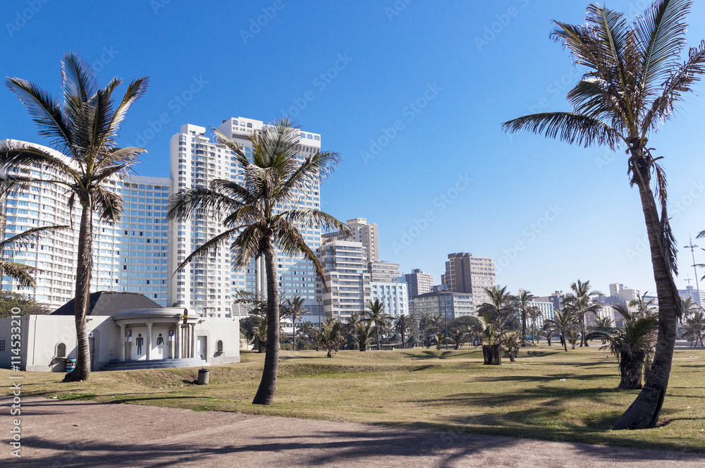 Palm Trees and Grass Lawn against City Skyline