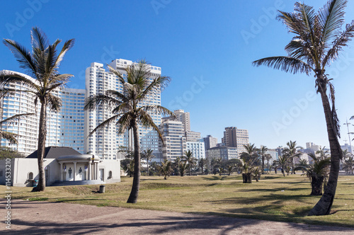 Palm Trees and Grass Lawn against City Skyline