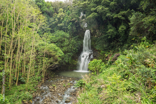 Waterfall in the Kohala area. This area is known for its many hidden waterfalls. The draught of the waterfall causes some motion blur in the foliage.