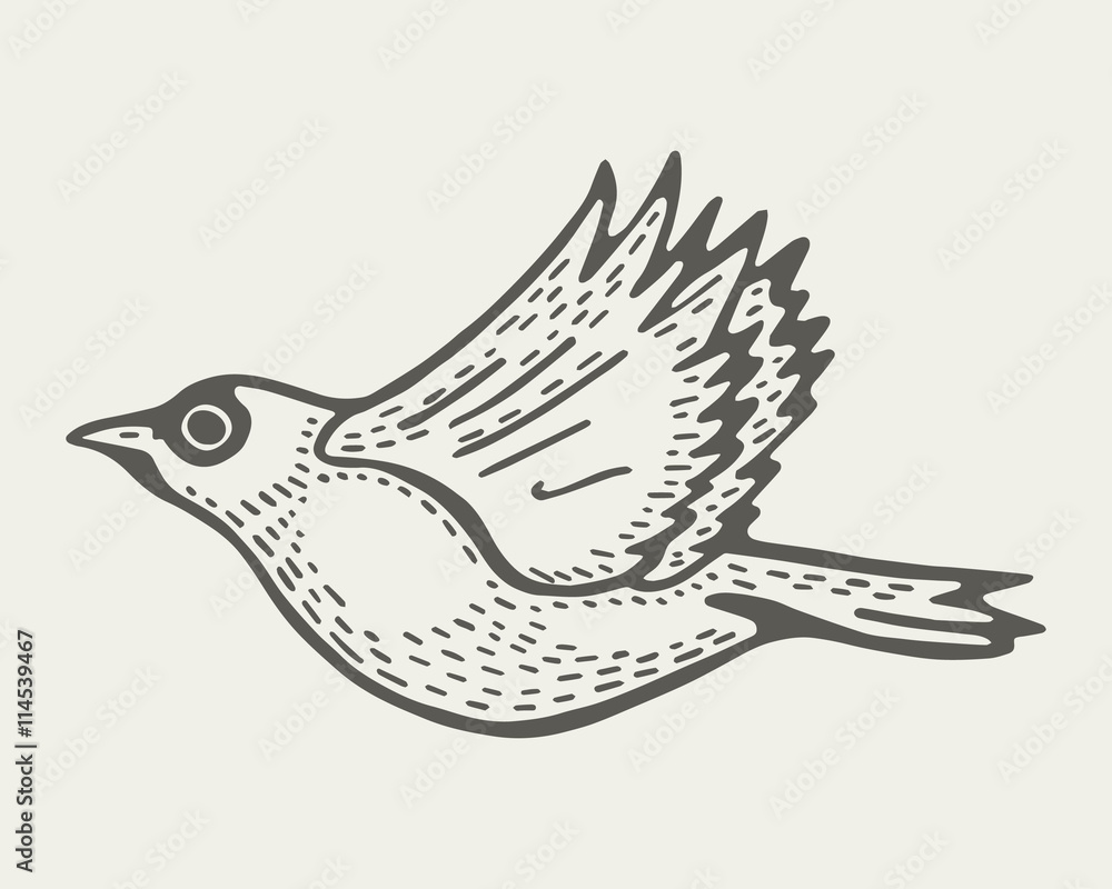 Obraz premium bird flies