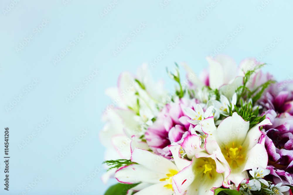 Obraz premium Bouquet of spring flowers on wall background