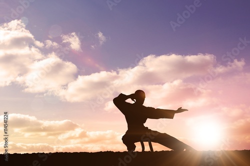 Fototapeta Naklejka Na Ścianę i Meble -  Composite image of fighter performing karate stance